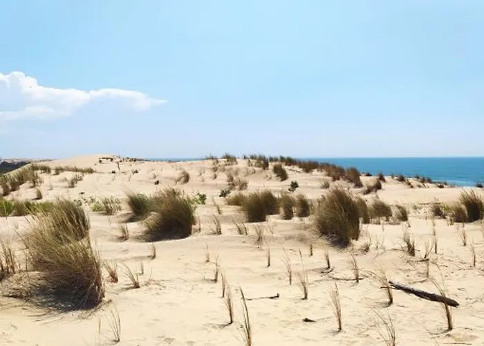 Renovee 80m², 3 Chambres, 8 Pers, Terrasse, Parking - Fr-1-705-71 Σπίτι διακοπών *